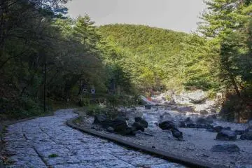 Witness the strange natural phenomenon at the park