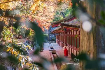 Dazaifu Tenmangu is also incredible during autumn (Photo: <a href="https://unsplash.com/photos/a-woman-in-a-red-dress-standing-in-front-of-a-building-BPdRJ6x4V5M" target="_blank" rel="noreferrer noopener nofollow">Nichika Sakurai</a> / Unsplash)