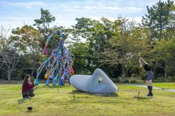 The Seed by Dam Dang Lai (left) and Symphony of curvature by Kato Jun (right) (Photo: Fabien Recoquille)