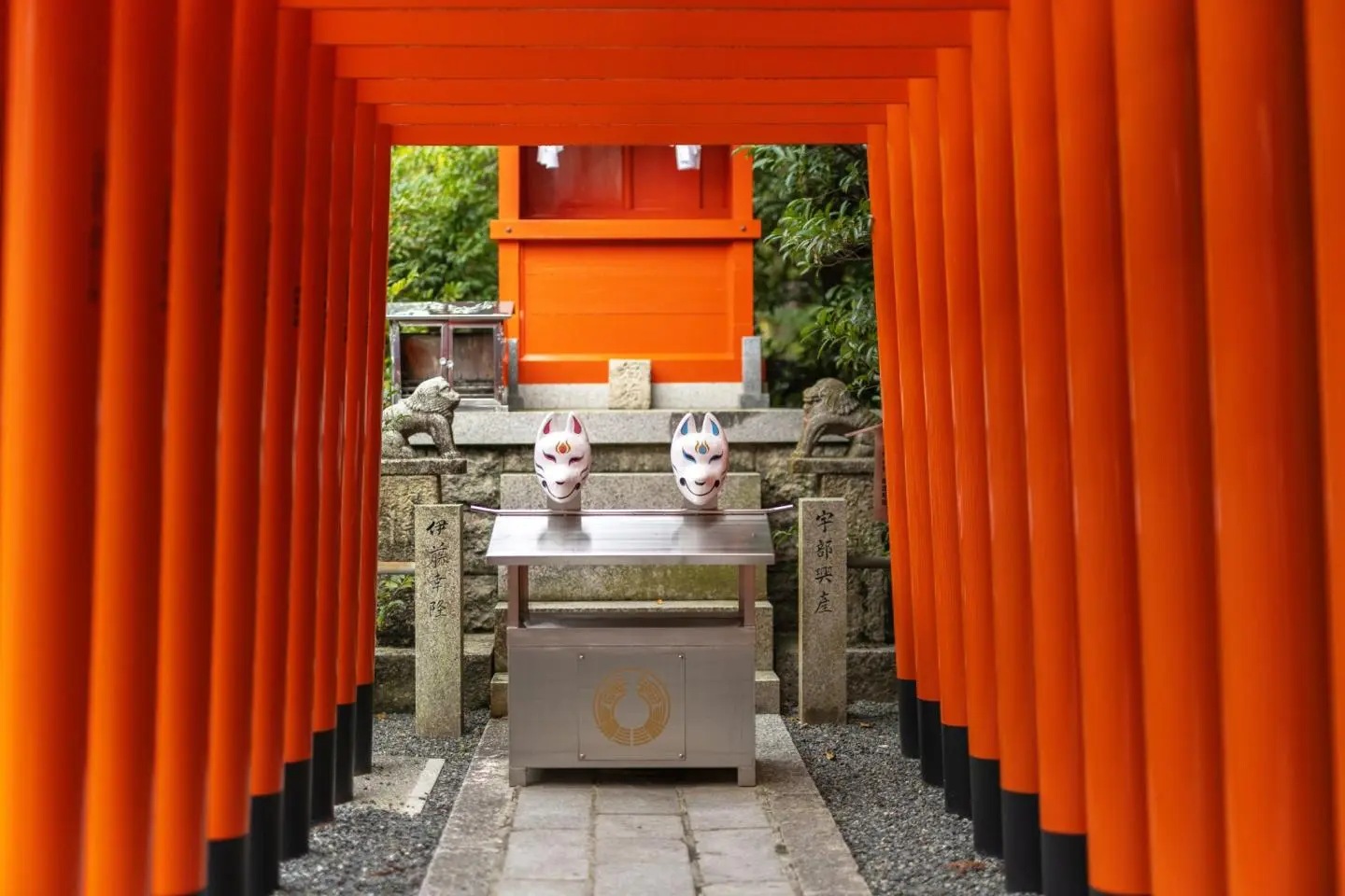 Tunnel of red torii (照片由: Fabien Recoquille)