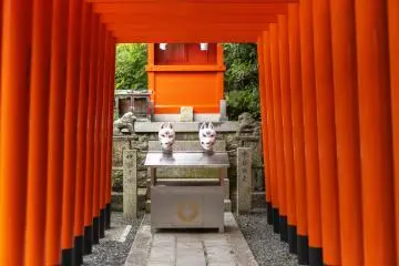 Tunnel of red torii