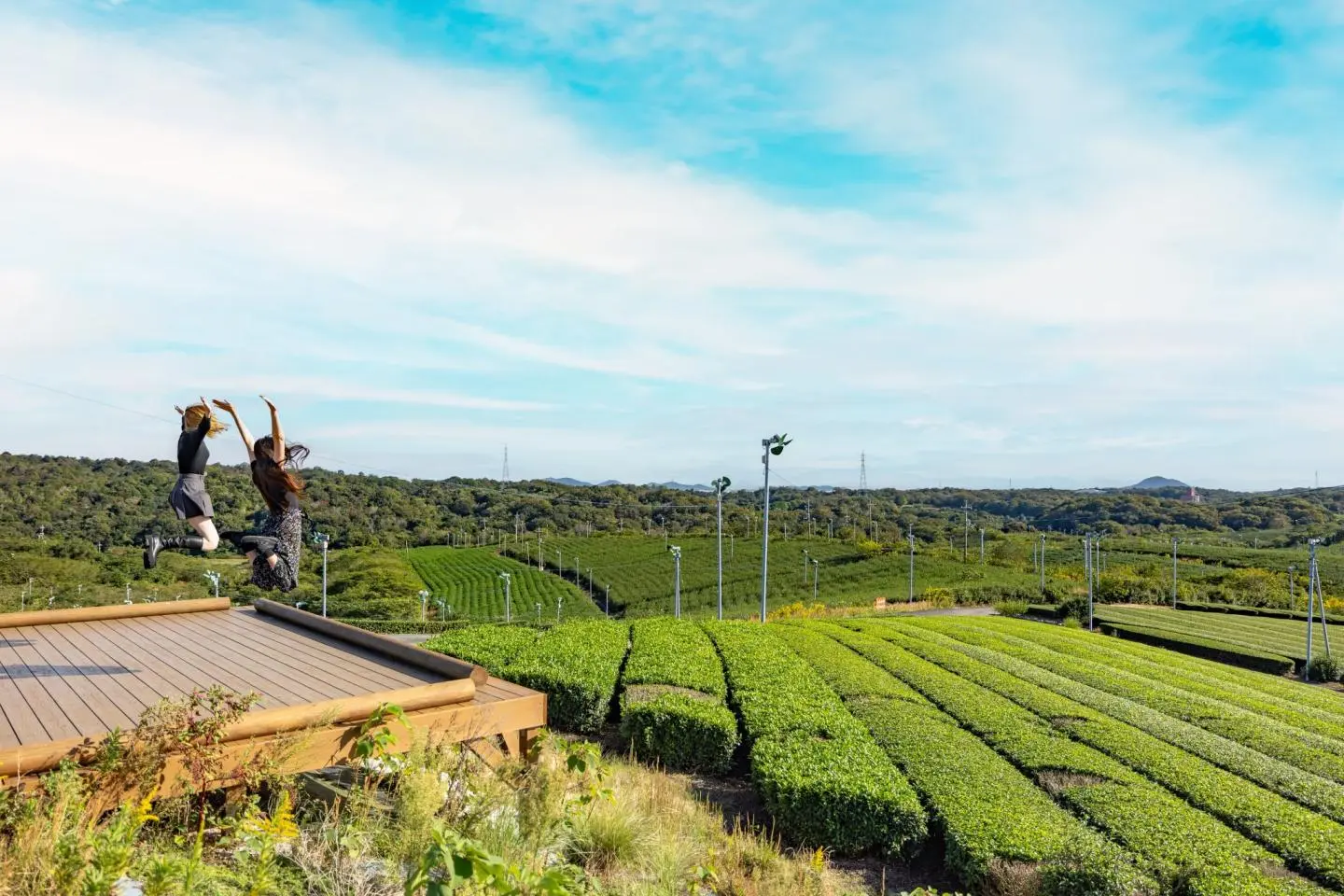Jumping for tea! (Photo: Fabien Recoquille)