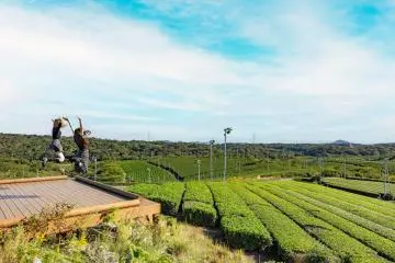 Jumping for tea!