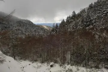 Snow covered valley (Photo: Matthew Shewchuk)