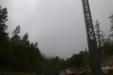 From the top