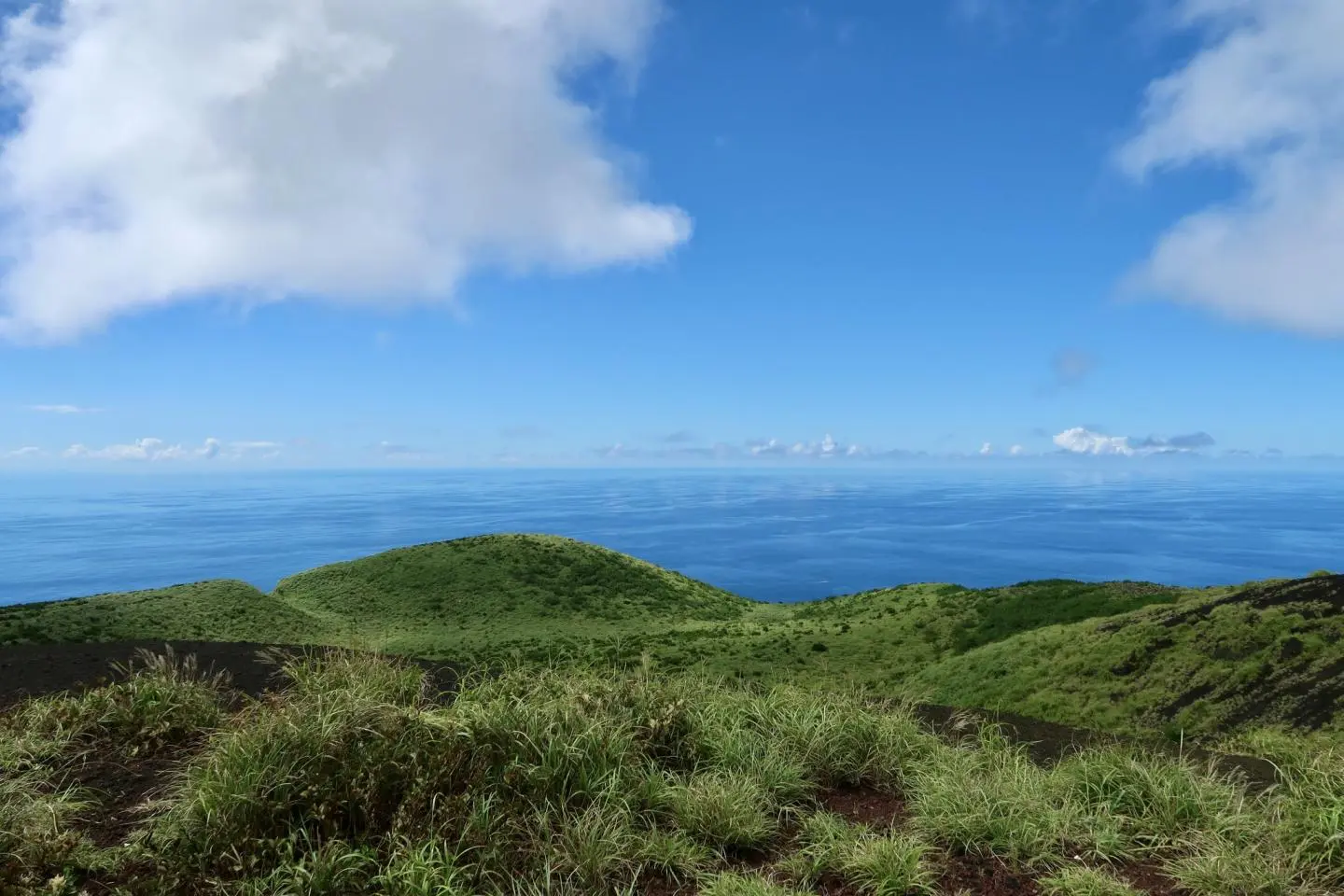 Ocean views