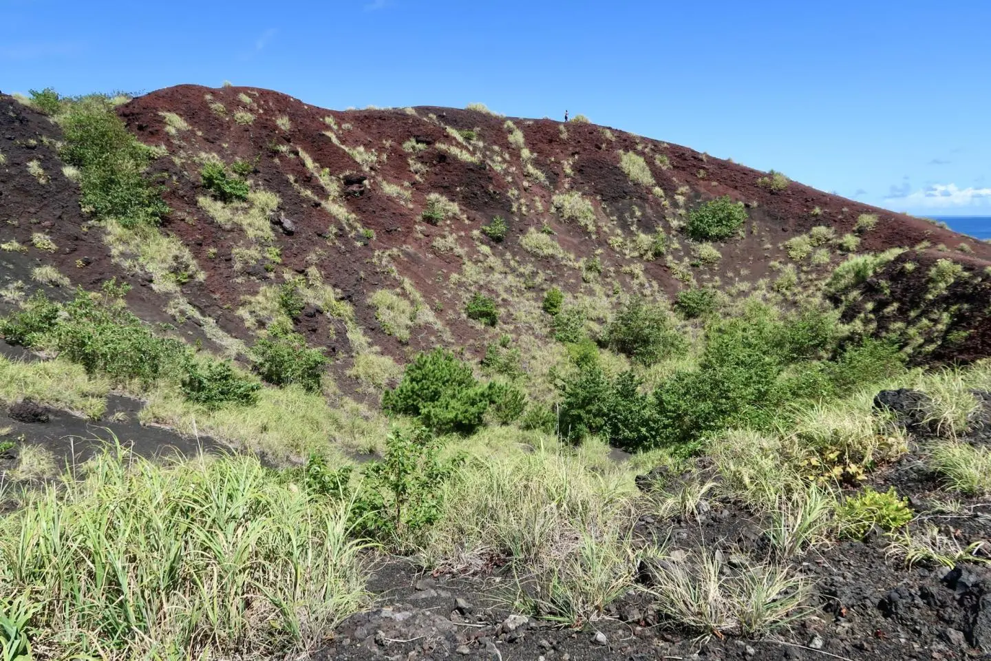 Inside Mt. Hyotan’s crater