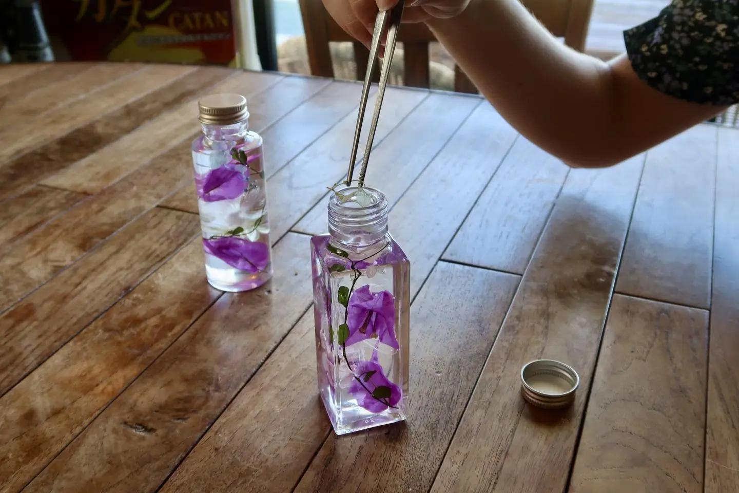 Placing flowers in the herbarium