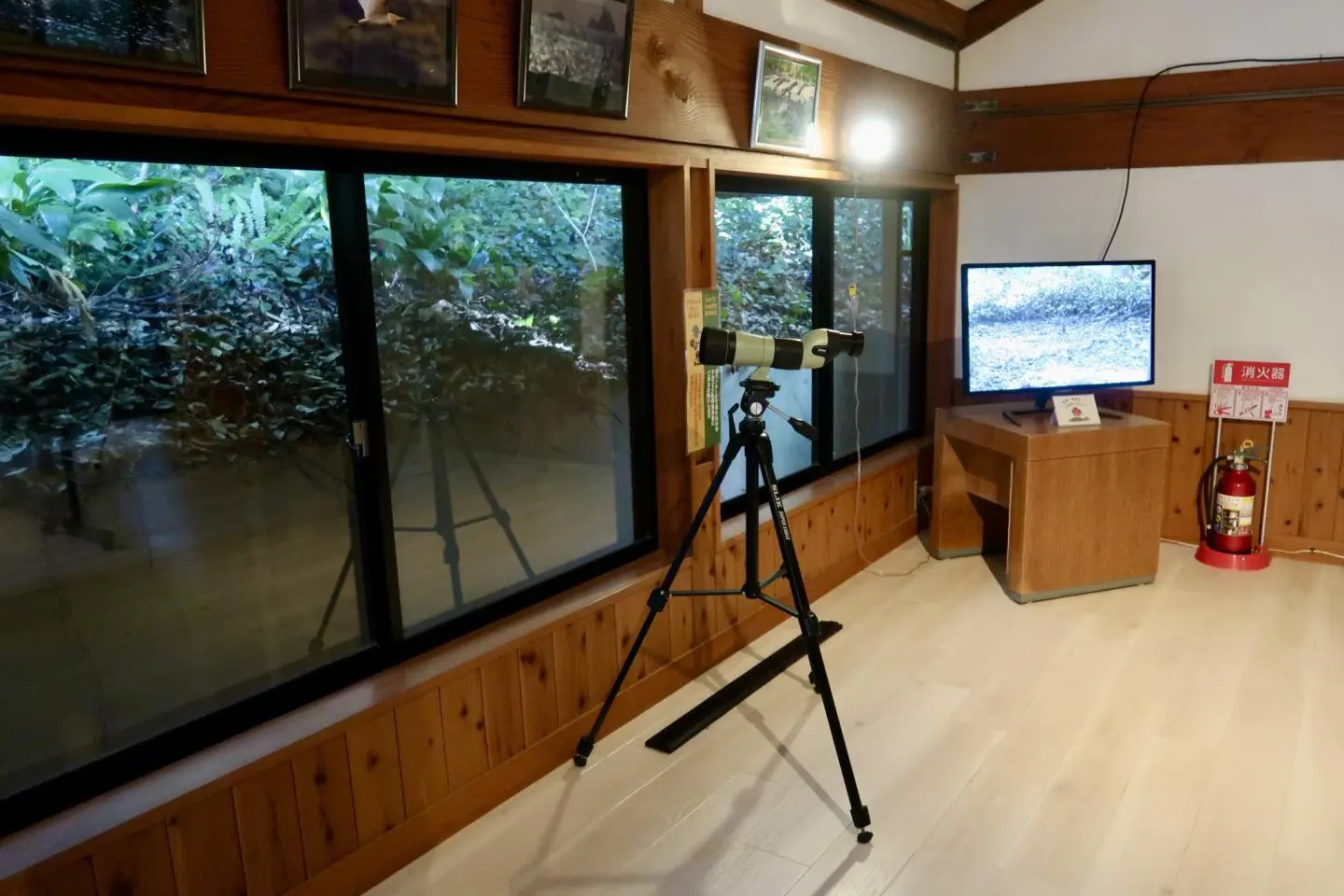 Birdwatching area