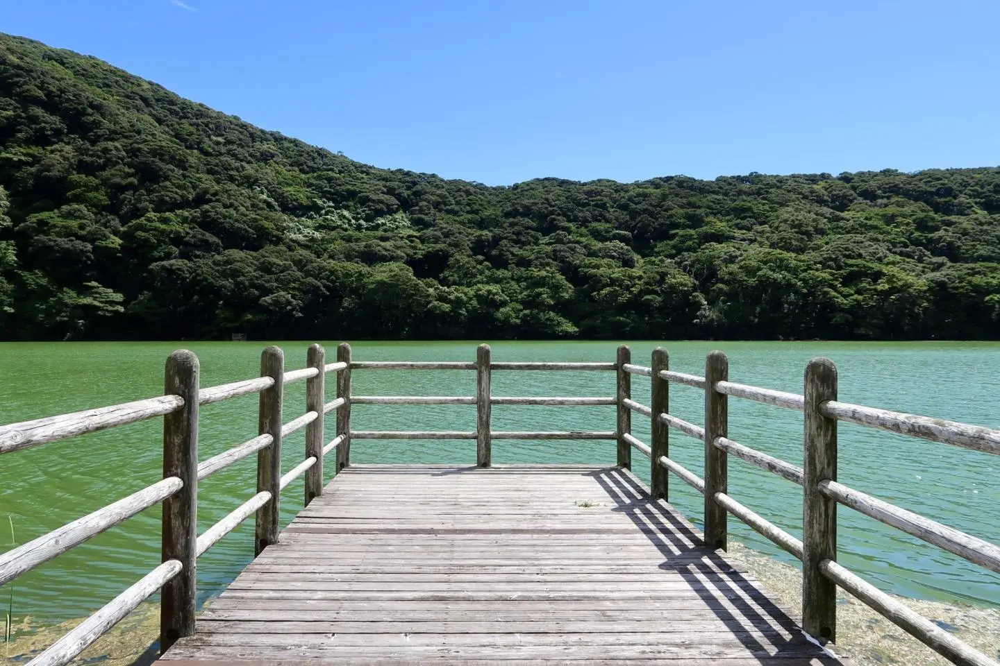 Tairo Pond