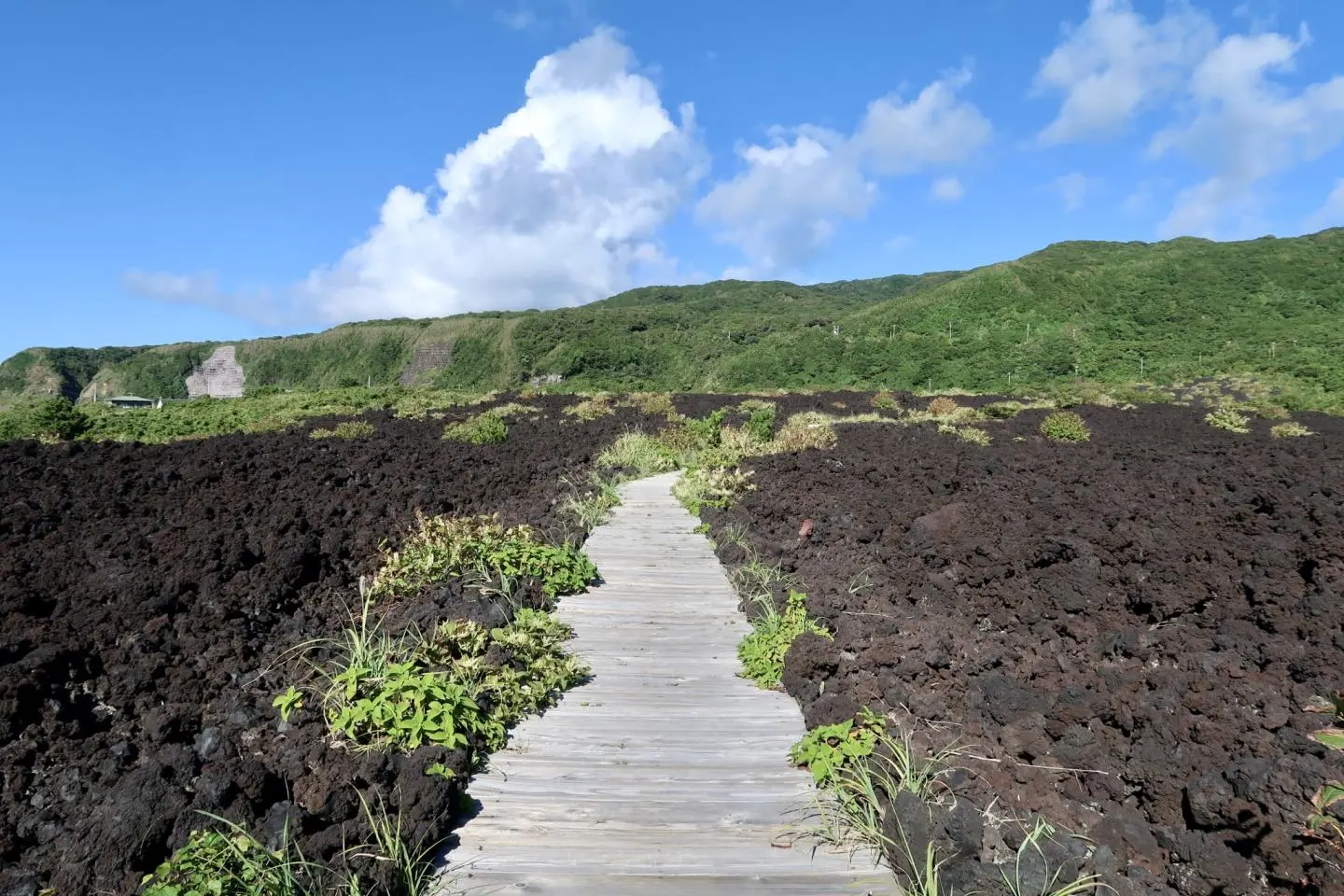 Wooden boardwalk through the lava field