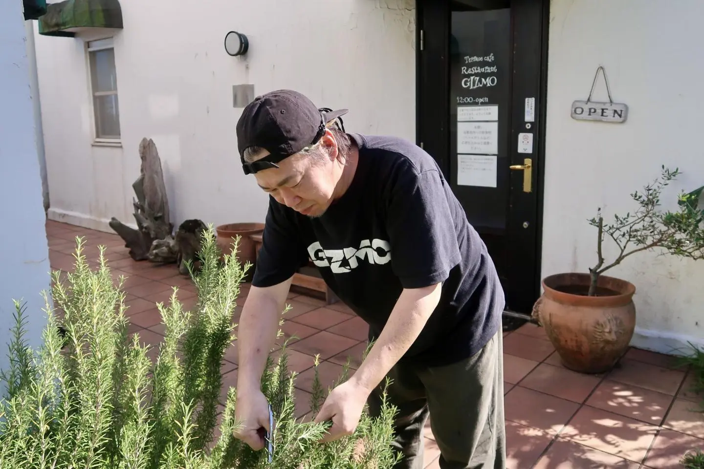 Mr. Kobayashi picking fresh rosemary