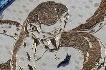 The incredible Giant Zodiac Geoglyph from above, made using pinecones and kochia plants