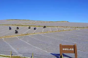 Getting ready for winter's frost