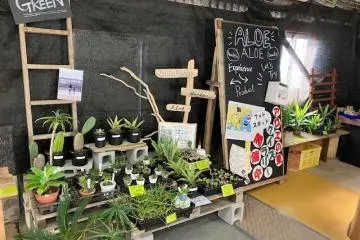 Photo: Tokyo Aloe Co., Ltd