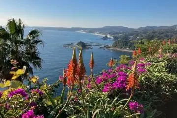 Izu Shirahama Aloe Flower Festival 2026-2027