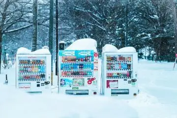 Winter in Japan: Your Seasonal Guide