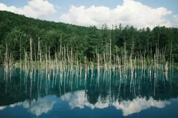 Shirogane Blue Pond