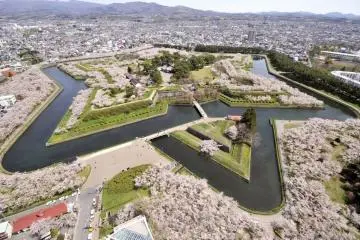 Sakura surrounding the star-shaped Goryokaku fort in Hakodate