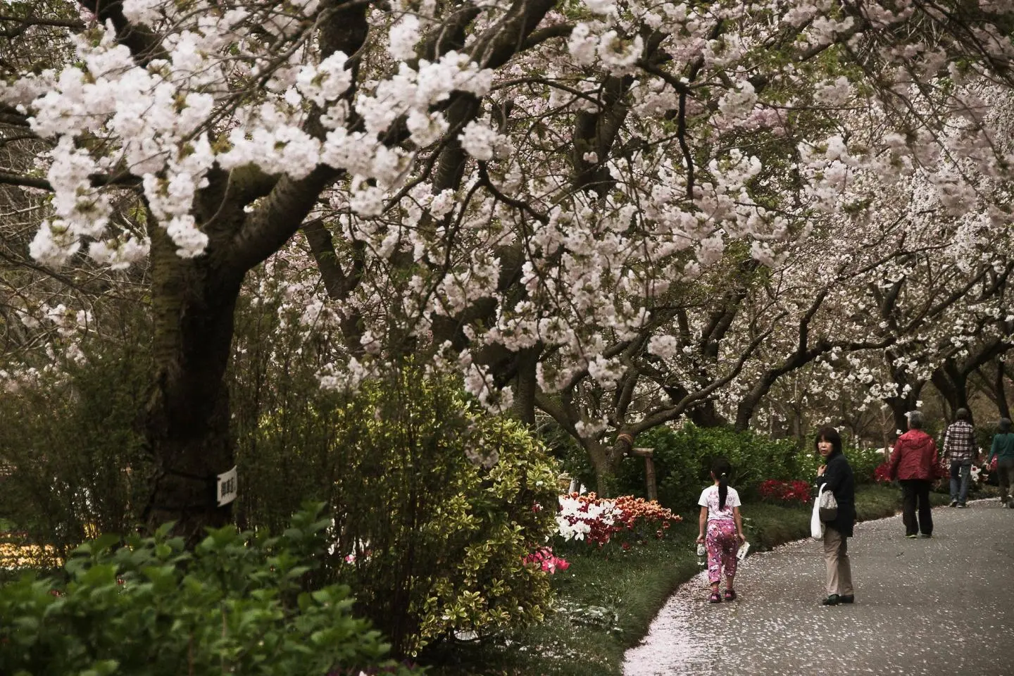 Photo: andresumida / CC BY 2.0