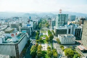 View from Sapporo TV Tower