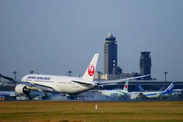 A JAL plane coming in to land at Narita Airport (Photo: <a href="https://commons.wikimedia.org/wiki/File:Japan_Airlines_Boeing_787-8_lading_at_Tokyo_Narita_Airport.JPG" target="_blank" rel="noreferrer noopener nofollow">Nanashinodensyaku</a> / <a href="https://creativecommons.org/licenses/by-sa/3.0/deed.en" target="_blank" rel="noreferrer noopener nofollow">CC BY-SA 3.0</a>)