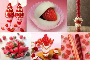 A sampling of the treats on offer