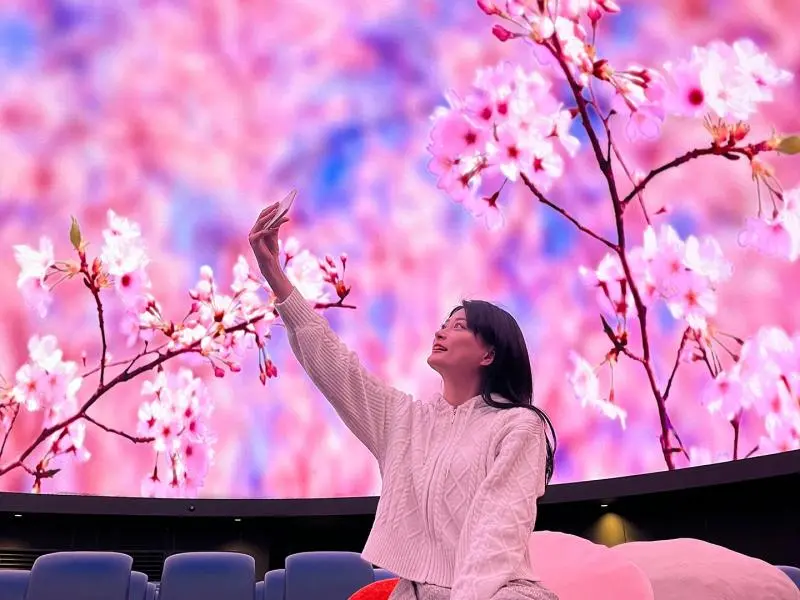 Sakura Welcome Dome 2026 - Events in Tokyo - Japan Travel