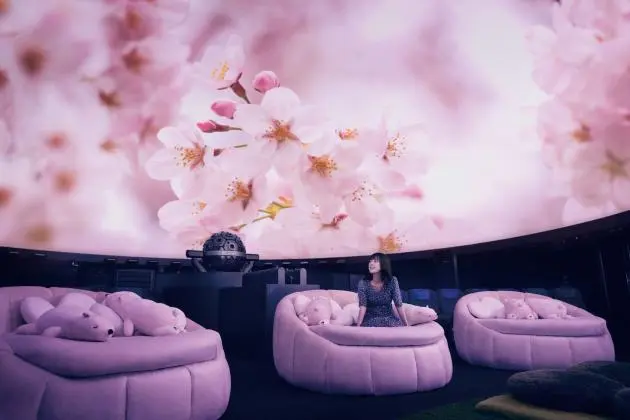 Sakura Welcome Dome 2026 - Events in Tokyo - Japan Travel