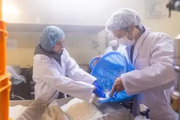 Handling rice