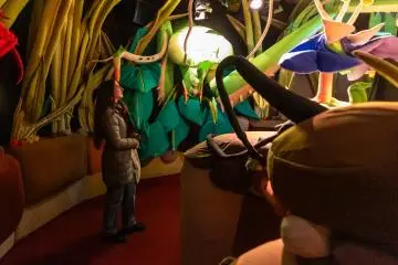 Earth room