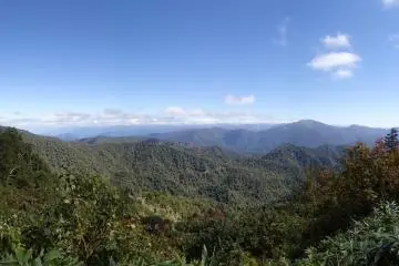 Looking down the valley (Photo: Matthew Shewchuk)