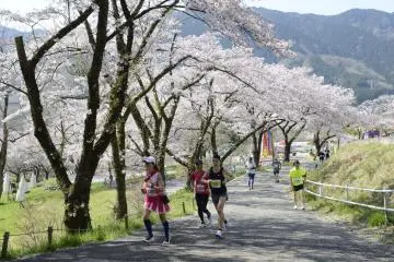 Lake Sagami Sakura Run 2027