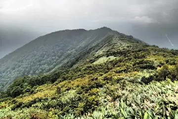 ขึ้นบนสันเขา