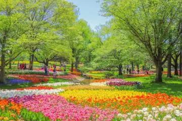 Photo: General Incorporated Foundation Parks Japan