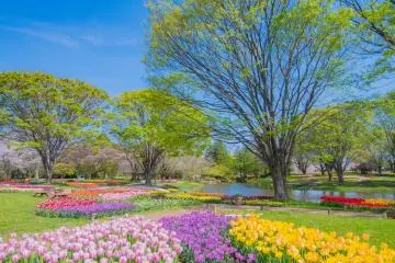 Photo: General Incorporated Foundation Parks Japan