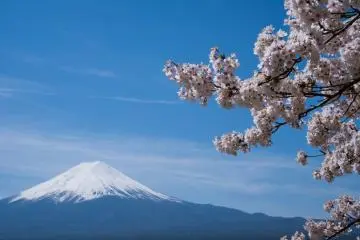 Photo: <a href="https://unsplash.com/photos/cherry-blossom-distance-with-mount-fuji-japan-NdkM92CRaxg" target="_blank" rel="noreferrer noopener nofollow">Daniel Hehn</a> / Unsplash