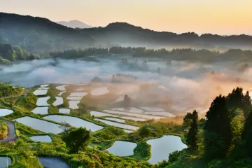 Spring Destinations and Events in Niigata