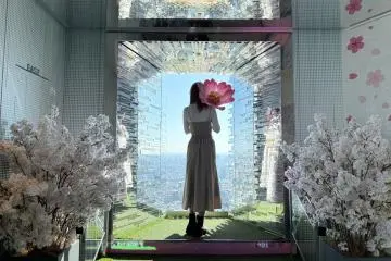 The views are complemented by the indoor blossoms, making for some extremely photogenic scenery! (JT)