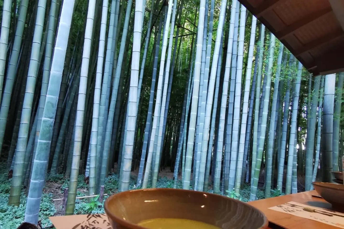 The Tea Ceremony in Japan