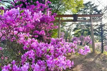 Photo: Takayama City