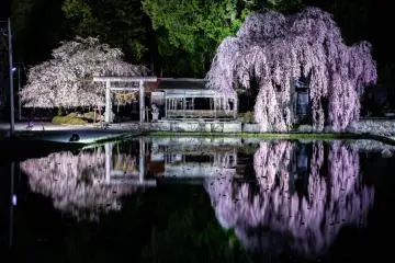 Photo: Takayama City