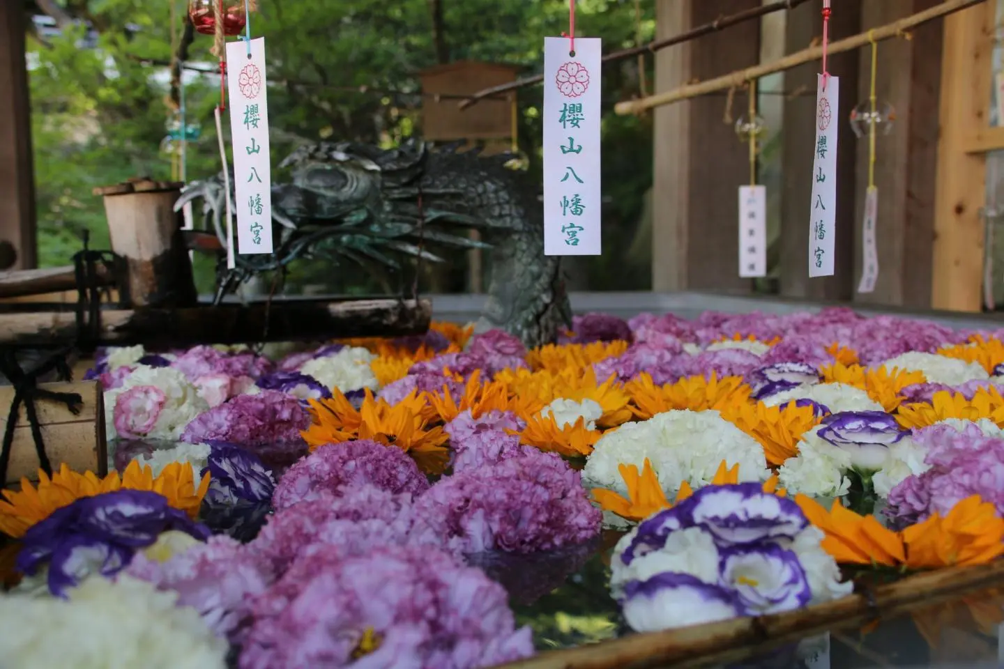 照片由: Takayama City