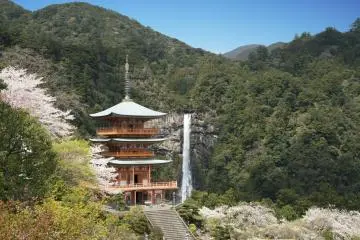 Cherry blossoms at Seigantoji