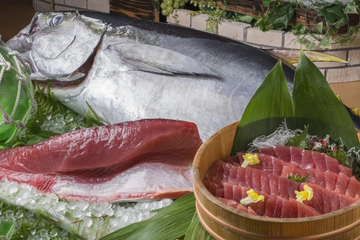 Nachikatsuura tuna