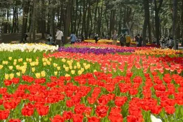 Photo: General Incorporated Foundation Parks Japan