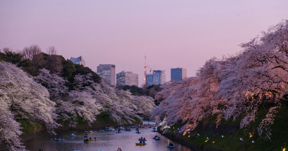 Spring in Japan: Your Seasonal Guide - Japan Travel