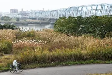 Cycling in Japan