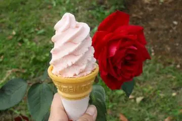แนะนำให้ลองไอศครีมรสกุหลาบ