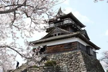 Maruoka Castle (Photo:  Top 100 Sakura Viewing Spot – Lukas Austin Amsden)